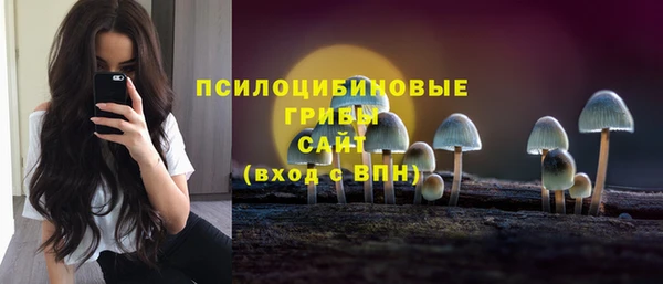 дурь Дмитров