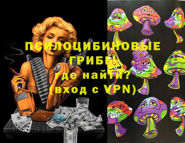 дурь Дмитров
