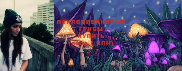 бутират Дмитриев