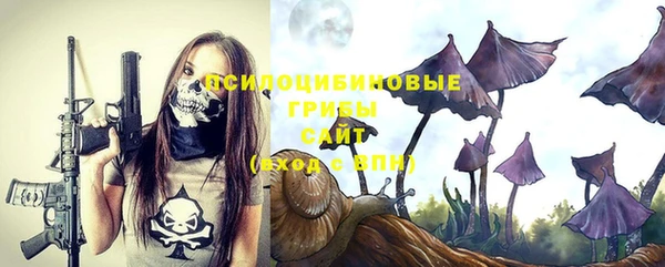 бутират Дмитриев