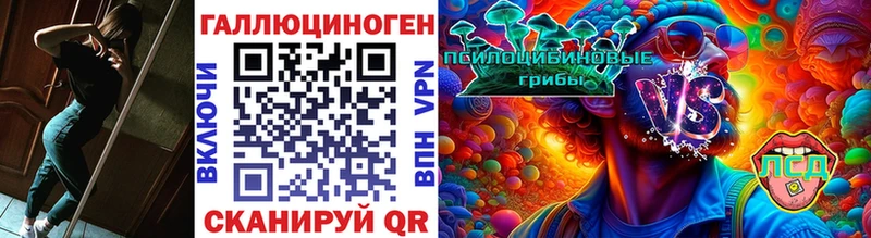 Псилоцибиновые грибы Psilocybe  закладки  Ковров 